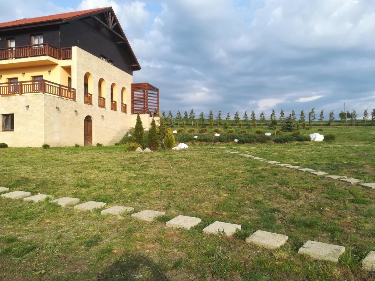 Гостевой дом Pensiunea La Conac Săliştea Veche